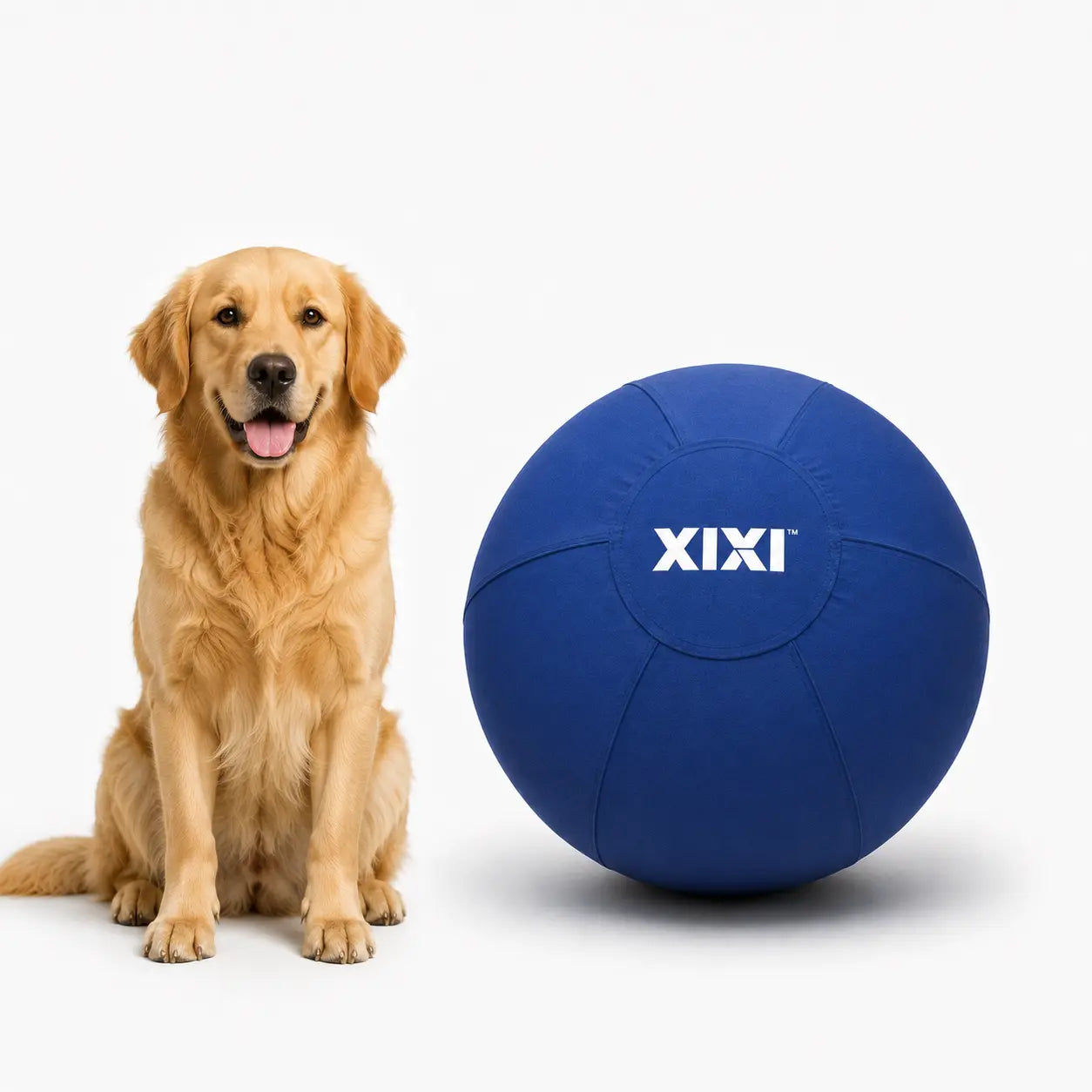 Xixipup Outdoor Interactive Herding Ball for High-Energy Dogs - Heavy-Duty Oxford Fabric, Inflatable Exercise & Training Toy, Easy to Clean, 18/22/25 in Camping Essentials