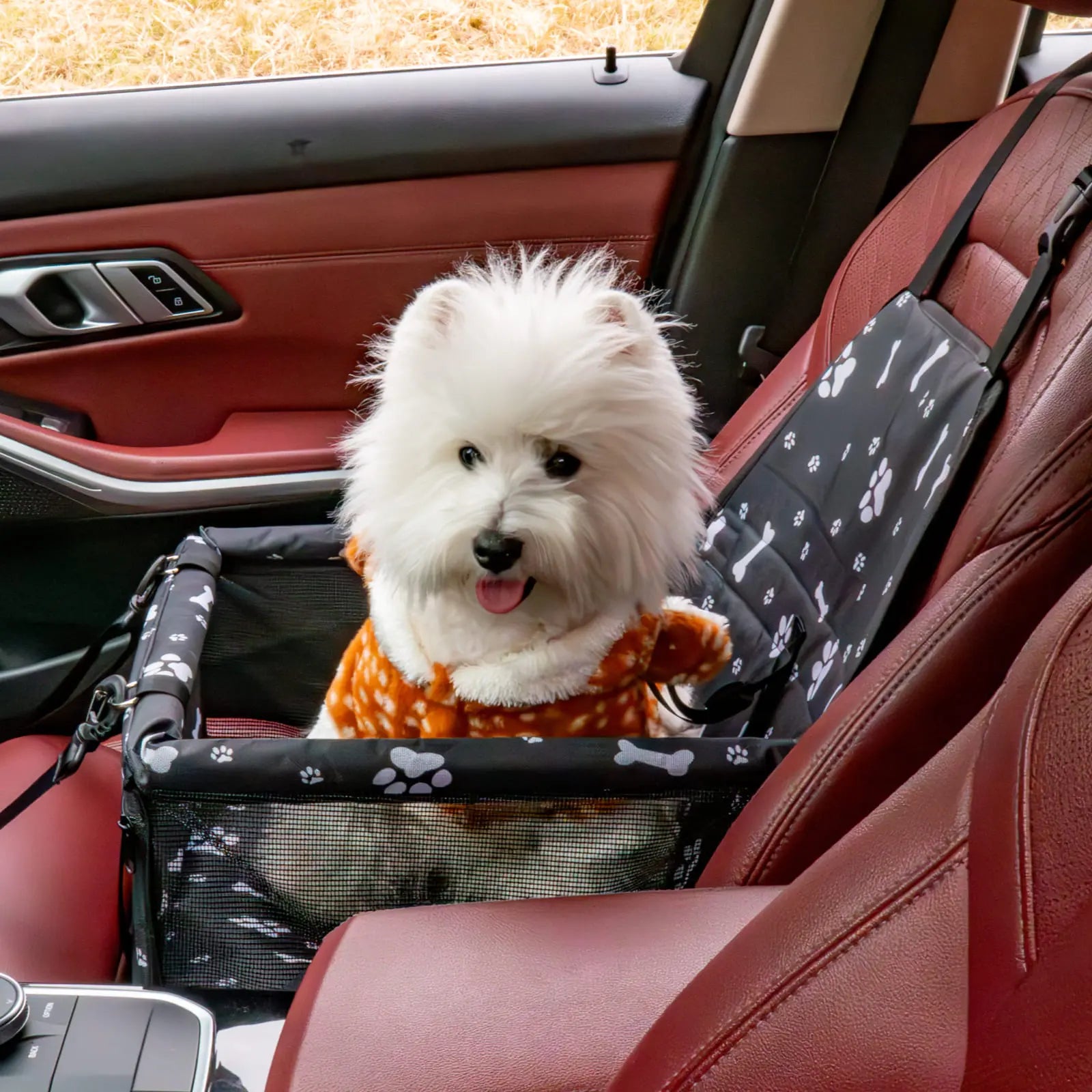 Pet Car Seat – Foldable Travel Safety Booster for Cats & Dogs | Breathable & Easy to Clean with Large Space | Fits Front & Back Seats, Easy to Assemble, Dogaccessories