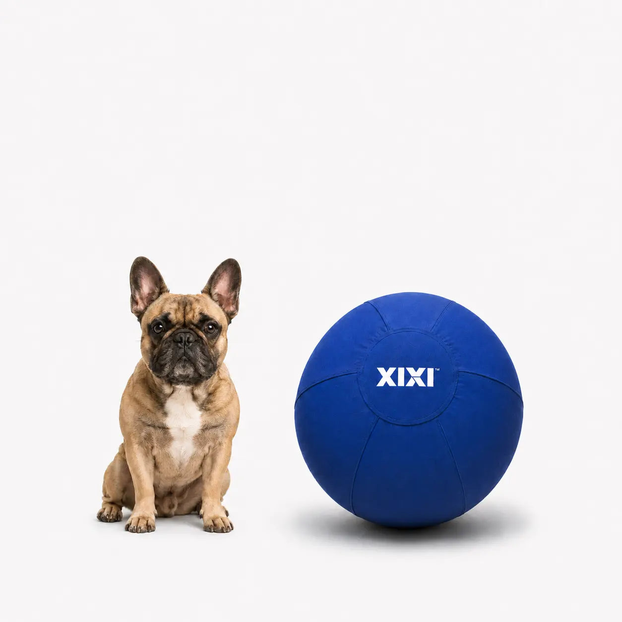 Xixipup Outdoor Interactive Herding Ball for High-Energy Dogs - Heavy-Duty Oxford Fabric, Inflatable Exercise & Training Toy, Easy to Clean, 18/22/25 in Camping Essentials