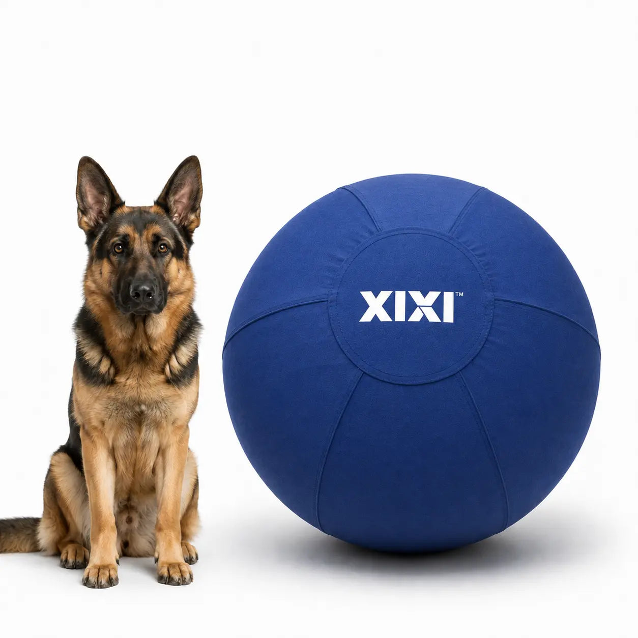 Xixipup Outdoor Interactive Herding Ball for High-Energy Dogs - Heavy-Duty Oxford Fabric, Inflatable Exercise & Training Toy, Easy to Clean, 18/22/25 in Camping Essentials